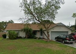 Pre-foreclosure in  DINNER ST NE Palm Bay, FL 32907