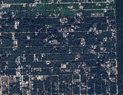 Pre-foreclosure in  NE 234TH PL Fort Mc Coy, FL 32134