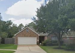 Pre-foreclosure in  AUSTIN HOLLOW CT Houston, TX 77044