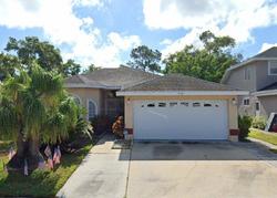 Pre-foreclosure in  WILDFLOWER DR Palm Harbor, FL 34683