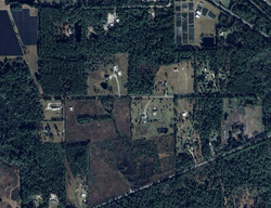 Pre-foreclosure in  OLMSTEAD RD Pierson, FL 32180