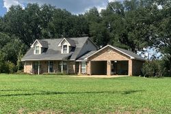 Pre-foreclosure in  ELLIS HODGE RD Lucedale, MS 39452