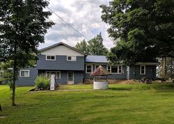 Pre-foreclosure in  SOMERSET RD Cement City, MI 49233