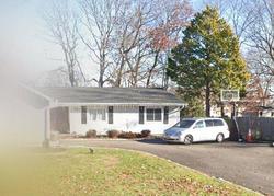 Pre-foreclosure in  SANDY CT Lake Grove, NY 11755