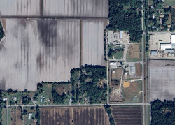 Pre-foreclosure in  CANTRELL LN East Palatka, FL 32131