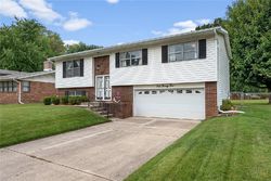 Pre-foreclosure in  ANITA DR Fairview Heights, IL 62208