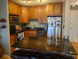 Pre-foreclosure in  W BRIAR PL A Chicago, IL 60657