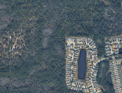 Pre-foreclosure in  ALGERINE PL Wesley Chapel, FL 33544