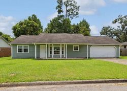 Pre-foreclosure in  LUPINE LN Tallahassee, FL 32308