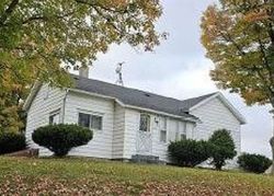 Pre-foreclosure Listing in MILL ST FENWICK, MI 48834