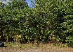 Pre-foreclosure in  E BRIGHTON DR Loxahatchee, FL 33470