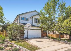 Pre-foreclosure in  HOLLYHOCK CT Littleton, CO 80129