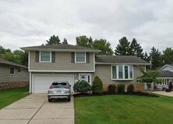 Pre-foreclosure in  GROSS DR Cleveland, OH 44130