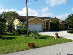 Pre-foreclosure in  TRINILAS DR Punta Gorda, FL 33983