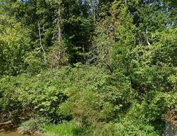 Pre-foreclosure in  MOUNT ZION RD Felicity, OH 45120