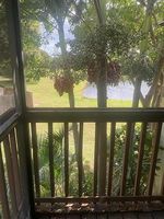 Pre-foreclosure in  CROSSINGS CIR APT H Boynton Beach, FL 33435