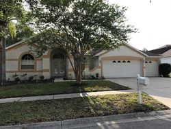 Pre-foreclosure in  RIVER OVERLOOK DR Valrico, FL 33596