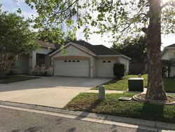 Pre-foreclosure in  RIVER OVERLOOK DR Valrico, FL 33596