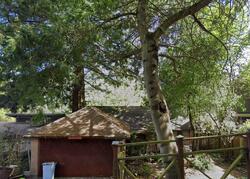 Pre-foreclosure in  VISTAMONT AVE Berkeley, CA 94708