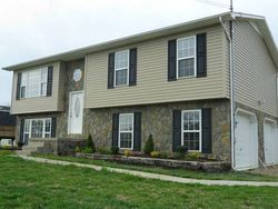 Pre-foreclosure Listing in SNAPPS FERRY RD AFTON, TN 37616