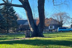 Pre-foreclosure Listing in HIGH PINE DR DAVISBURG, MI 48350