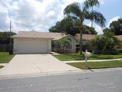 Pre-foreclosure in  EXPOSITION DR Tampa, FL 33626