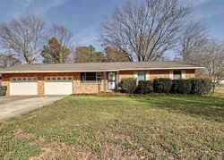 Pre-foreclosure Listing in CATFISH DR LAKE CITY, AR 72437