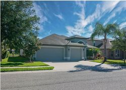 Pre-foreclosure in  DIAMONDS PALM LOOP Wesley Chapel, FL 33543