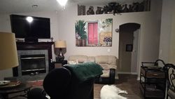 Pre-foreclosure in  GLEN OAKS DR Green Cove Springs, FL 32043