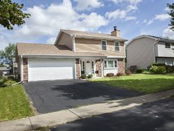 Pre-foreclosure in  WRIGHT LN Hanover Park, IL 60133