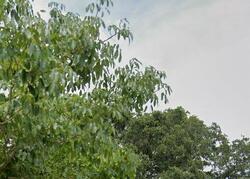 Pre-foreclosure in  MESSINA AVE Orlando, FL 32811