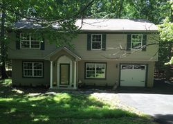 Pre-foreclosure in  PINE GROVE DR East Stroudsburg, PA 18301