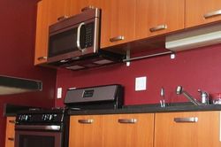 Pre-foreclosure in  E CULLERTON ST  Chicago, IL 60616