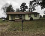 Pre-foreclosure Listing in WATSON RD DYER, TN 38330