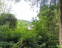 Pre-foreclosure in  EYLERS VALLEY RD Thurmont, MD 21788