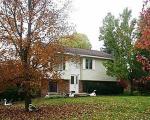 Pre-foreclosure Listing in ELIZABETH LN ALMONT, MI 48003