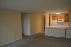 Pre-foreclosure in  OAKWOOD DR UNIT 4F Lisle, IL 60532