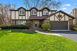 Pre-foreclosure in  INDIAN KNOLL RD Naperville, IL 60565