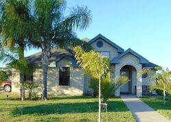 Pre-foreclosure Listing in PINE CRK ALAMO, TX 78516