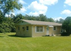 Pre-foreclosure Listing in VIRGINIA DR ASTOR, FL 32102