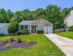 Pre-foreclosure in  FIREBRIDGE DR Chapin, SC 29036