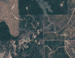  County Road 343, Stonewall MS