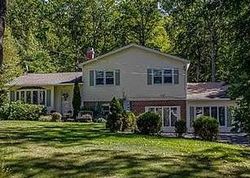 Pre-foreclosure Listing in GREENVILLE TPKE PORT JERVIS, NY 12771