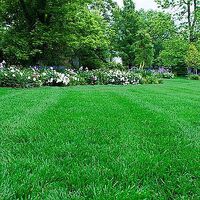 Pre-foreclosure in  PLOWSHARE RD Wildomar, CA 92595