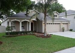 Pre-foreclosure in  WINDCREST OAKS CT Valrico, FL 33594