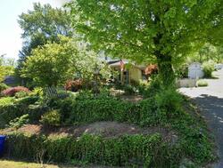 Pre-foreclosure in  DOUGLAS LN Harriman, TN 37748