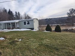 Pre-foreclosure in  THOUSAND ACRES RD Delanson, NY 12053
