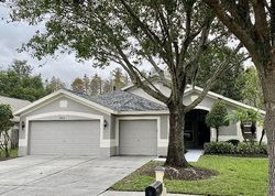 Pre-foreclosure in  ELLENDALE DR Land O Lakes, FL 34638