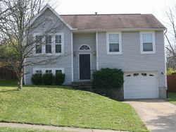 Pre-foreclosure in  PEBBLE CREEK DR Erlanger, KY 41018