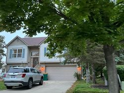 Pre-foreclosure in  NORTON CREEK BLVD Wixom, MI 48393